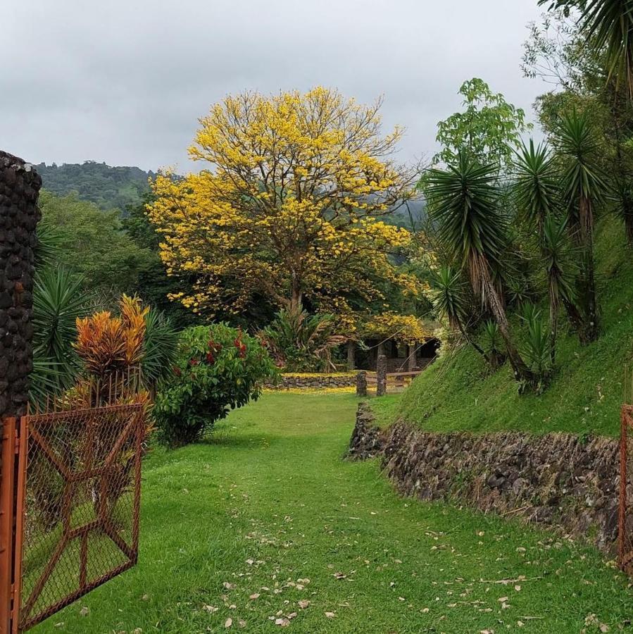 Pura Vista Glamping Hotell El Castillo Exteriör bild