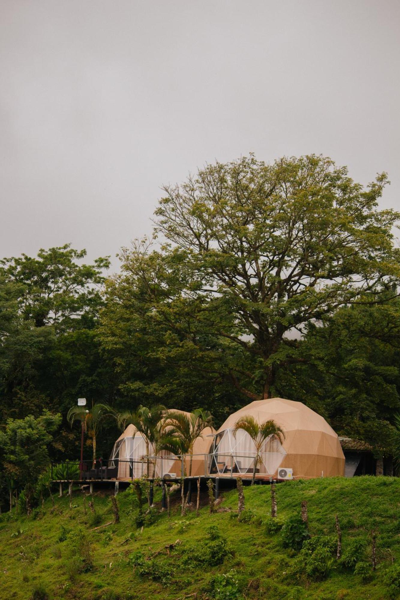 Pura Vista Glamping Hotell El Castillo Exteriör bild